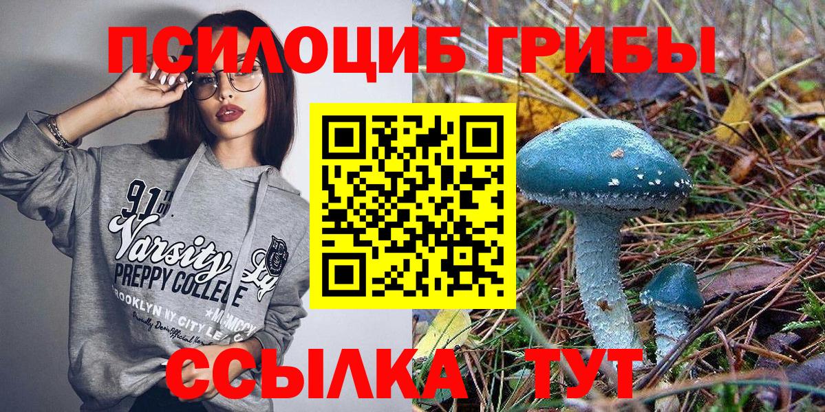 Галлюциногенные грибы Psilocybine cubensis Балашиха
